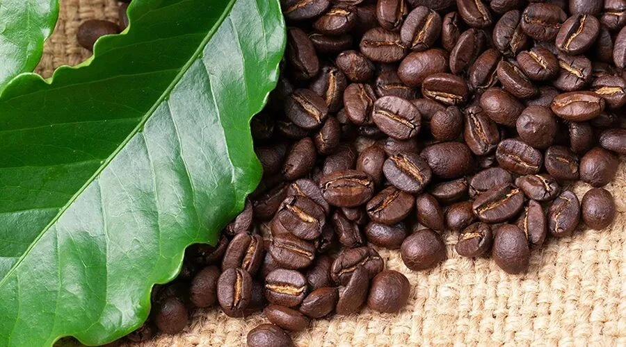 coffee jet mill